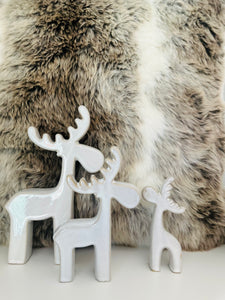 Reindeer Family