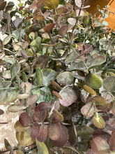 Load image into Gallery viewer, Faux Eucalyptus Wreath