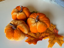 Load image into Gallery viewer, Set of 3 Velvet Pumpkins