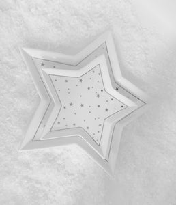 Small Star Shaped Dish